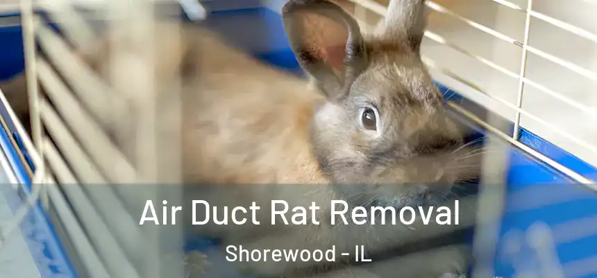  Air Duct Rat Removal Shorewood - IL