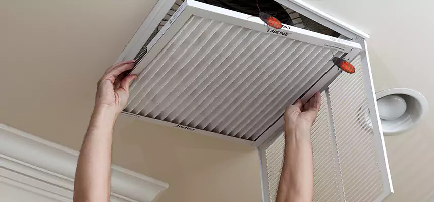 Preventive Cockroach-Proofing for Ducts in Shorewood