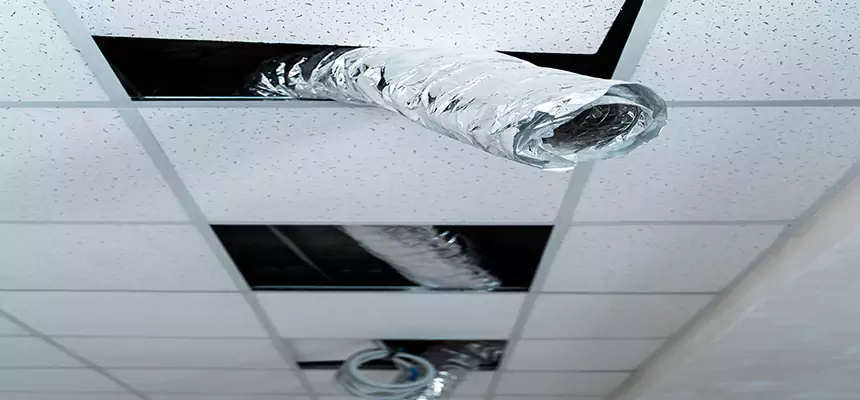 Our Air Duct Pet Hair Removal Services in Shorewood, IL