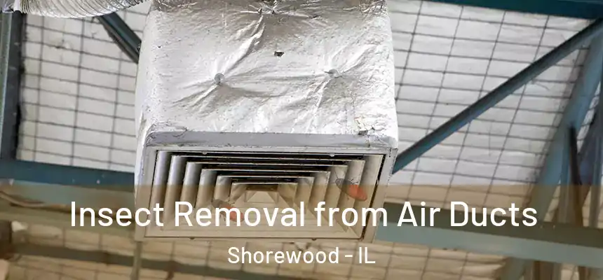  Insect Removal from Air Ducts Shorewood - IL