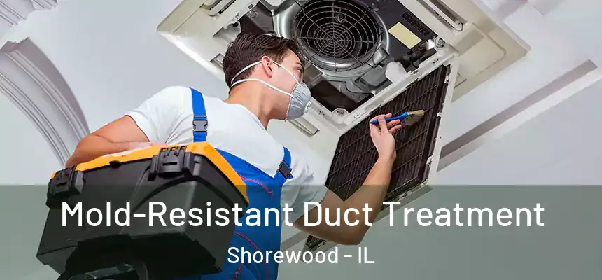  Mold-Resistant Duct Treatment Shorewood - IL
