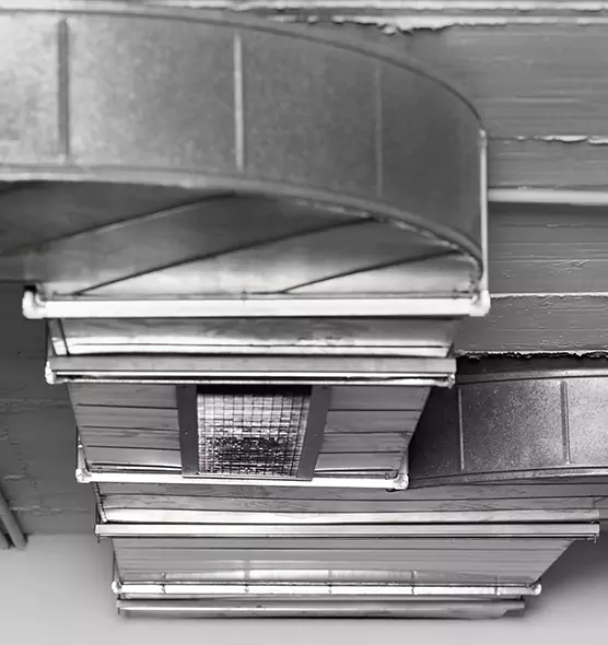 Professional Air Duct Pest Removal in Shorewood, IL