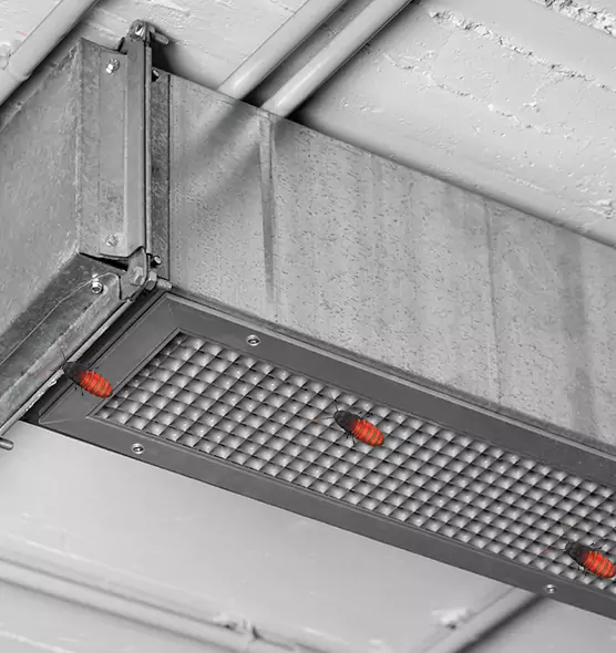 Affordable Insect Removal from Air Ducts in Shorewood, IL