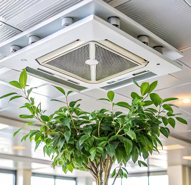 Why Homeowners & Businesses Trust Us in Shorewood, IL?