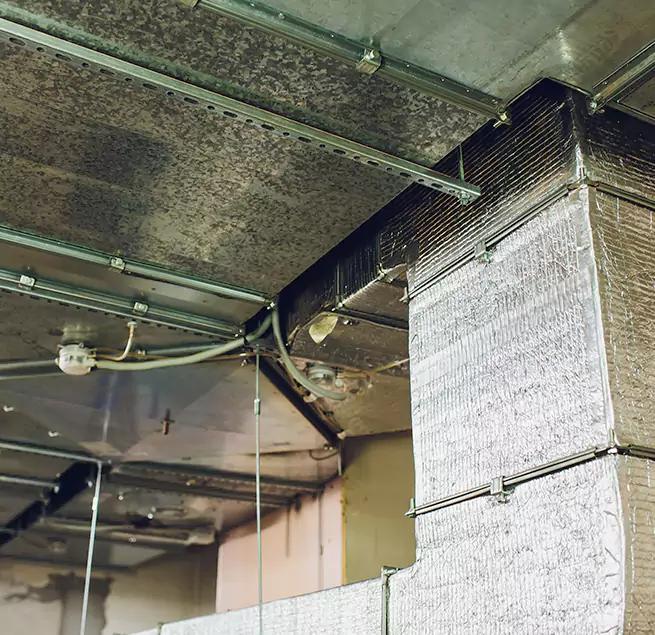 Why Homeowners & Businesses Trust Us in Shorewood, IL?